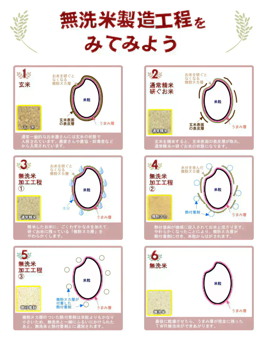 【令和6年産】無洗米 あきたこまち 無洗米 10kg 秋田小町 5kg×2 2024年産 人気銘柄