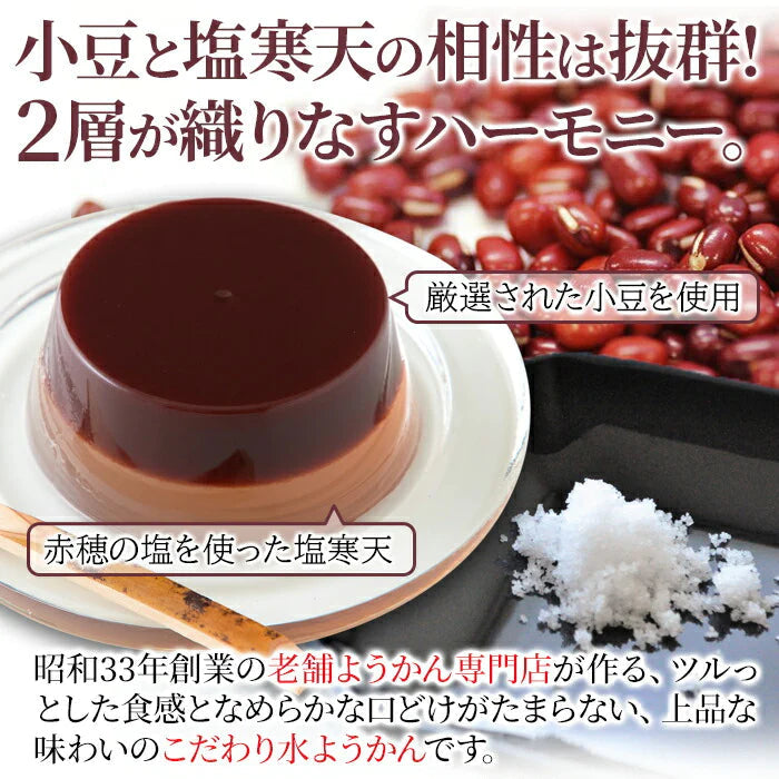 塩水ようかん8個♪小豆と塩寒天が絶妙なハーモニー! ようかん 水ようかん  常温便