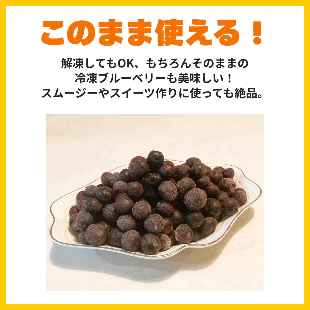 [冷凍] カナダ産ブルーベリー 1kg (500g*2)/冷凍クール便