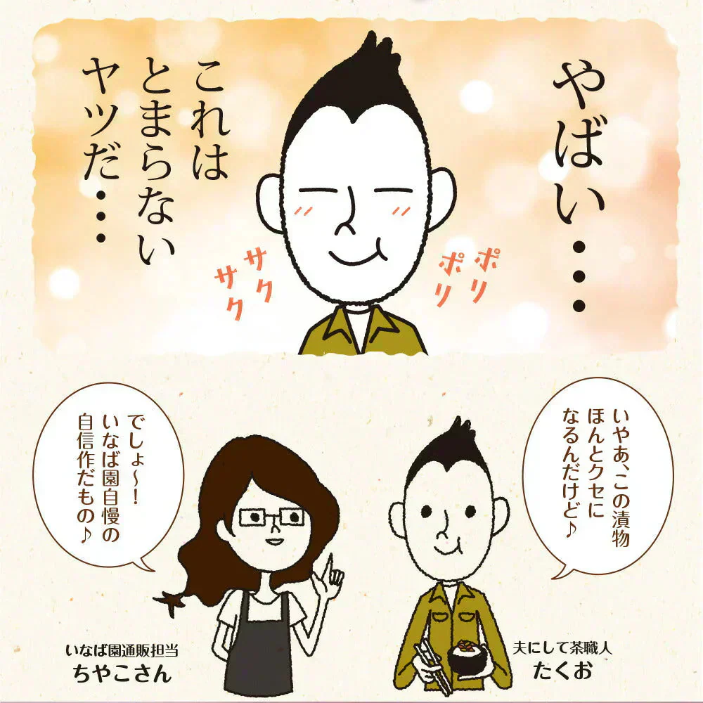 【3個セット】日本橋いなば園 国産 若採りごぼう 梅肉あえ 120g メール便 送料無料