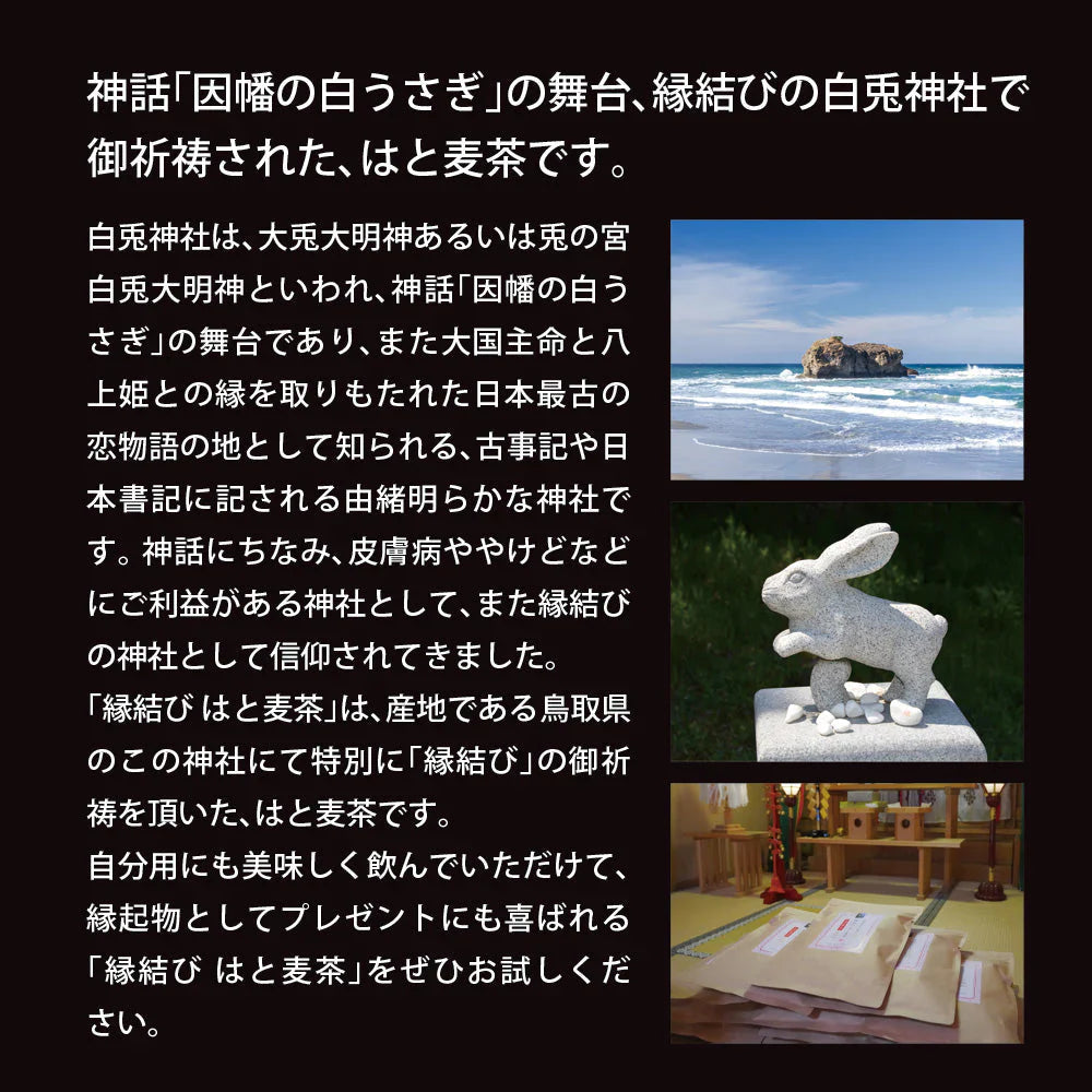 日本橋いなば園 はとむぎ茶ティーバッグ 60包 ネコポス メール便送料無料