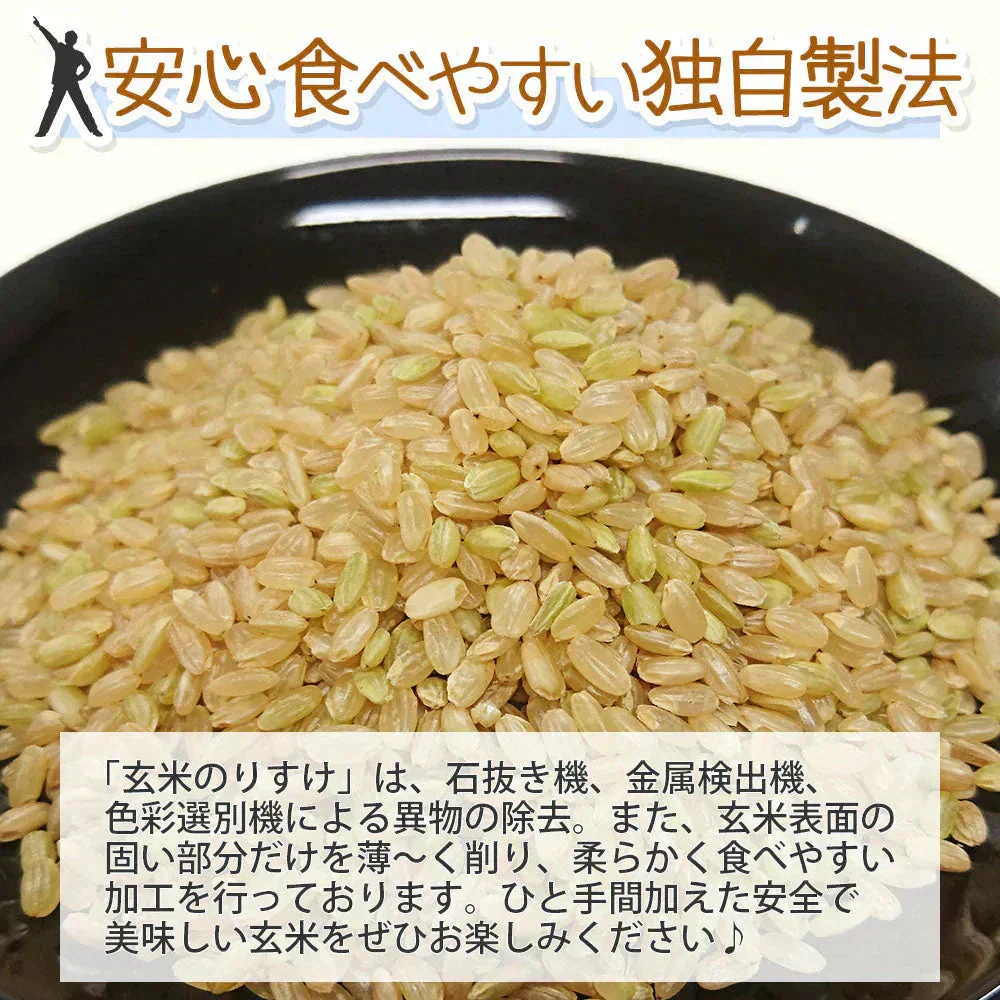 玄米 30kg 玄米のりすけ 国内産 送料無料 玄米30キロ こめ コメ お米 お米30kg お米30キロ
