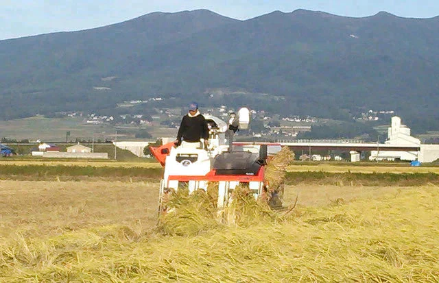 令和7年産あいづ米 アウトレット白米10kg　送料無料！