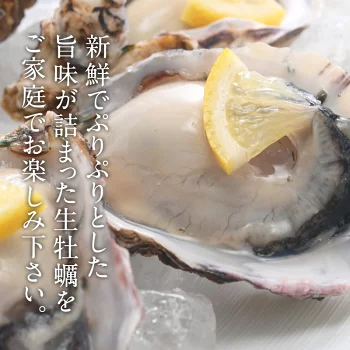 兵庫県室津産 ハーフシェルオイスター 殻付き牡蠣 生食用 10個入り［冷凍のみ］【送料無料】【3～4営業日以内に出荷】