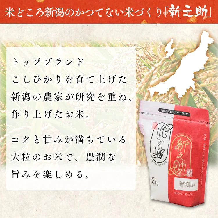 【カートアップNG】アイリスオーヤマ 低温製法米 新潟県産 新之助 2kg