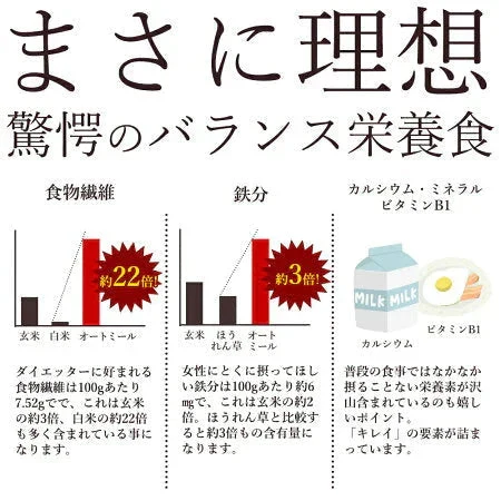 お試し 低糖質 スイーツ オートミール 送料無料【ケーキ屋さんの低糖質クッキー】ごろごろオートミールシリアルクッキー16枚  [ 置き換えダイエット ダイエット ロカボ スイーツ 食品 食物繊維 低糖質  ]