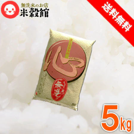 【令和7年産】無洗米 送料無料 5kg 九州産　当店人気ナンバーワン「心」 米 5kg×1個