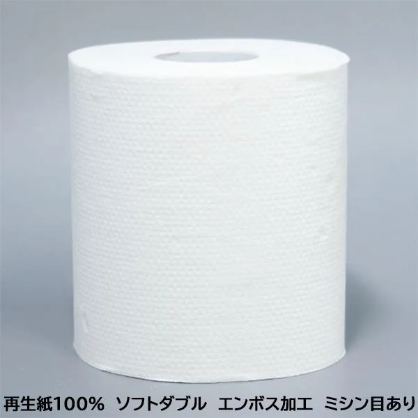 林製紙バンビックス 業務用トイレットペーパー ダブル30m 無包装100個