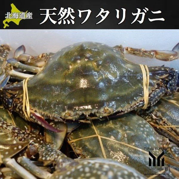 北海道産 内子入り ワタリガニ 2杯