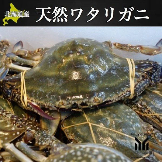 北海道産 内子入り ワタリガニ 2杯