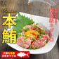 天然本鮪のネギトロ ザプレミアム 100g×5 宮城県石巻漁港水揚げ