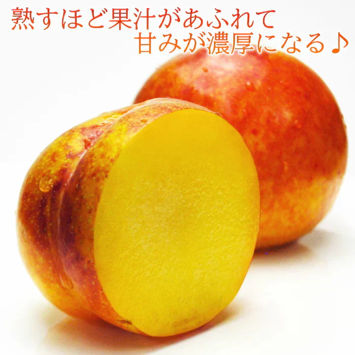 秋姫(あきひめ)プラム 1.5kg前後 8-15玉前後 山形産 ギフト フルーツ 果物 くだもの プラム すもも