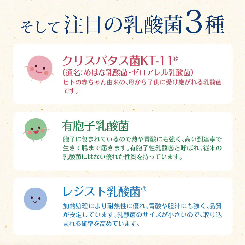 乳酸菌 サプリメント 粉末 33種の乳酸菌 30包入り 乳酸菌 メール便 送料無料 ダイエット 腸活