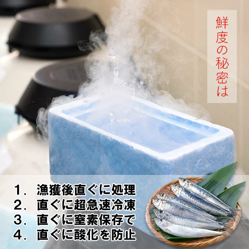 北海道産 トロ 金華 真鰯 6パック 1350g【楽天ランキング1位】超速冷凍 刺身 DHA EPA 豊富 フィーレ生食用 さしみ 海鮮丼 握り寿司 青魚 ダイエット イワシ 刺身用 いわし 寿司ネタ お寿司 売れ筋 お取り寄せ お取り寄せグルメ 海鮮丼 冷凍