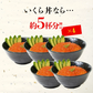 いくら 醤油漬け 250g×4パック 計1kg 粒は小さいけど味は抜群！ サーモン トラウト イクラ 丼 軍艦 手巻き寿司 ちらし寿司 送料無料 冷凍便 お取り寄せグルメ 食品 ギフト