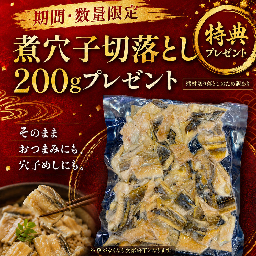 先着100名様限定！＼煮穴子200gプレゼント中／父の日 うなぎ 2尾 特大一本うなぎ蒲焼き 30cm×200g超 国産うなぎ 特大国産うなぎ 2尾 市場直送 母の日 中元 土用の丑の日 鰻 関西焼き 高評価 国産 特大 うなぎ蒲焼き 関西焼き 特大サイズ ウナギ 国産鰻 特大 蒲焼 夏ギフト