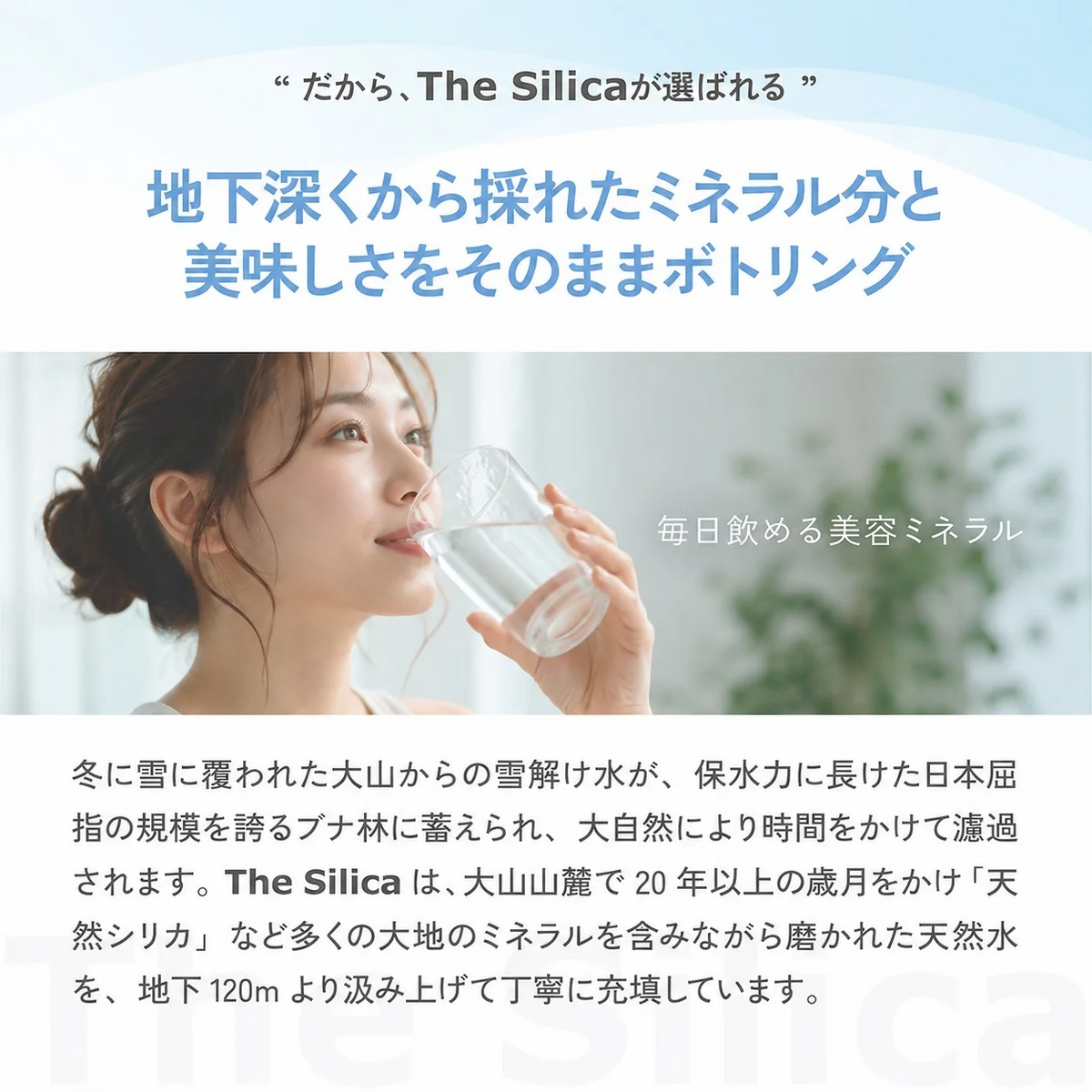 【1ケース】 500ml 24本 国産 シリカ天然水 The Silica ザシリカ