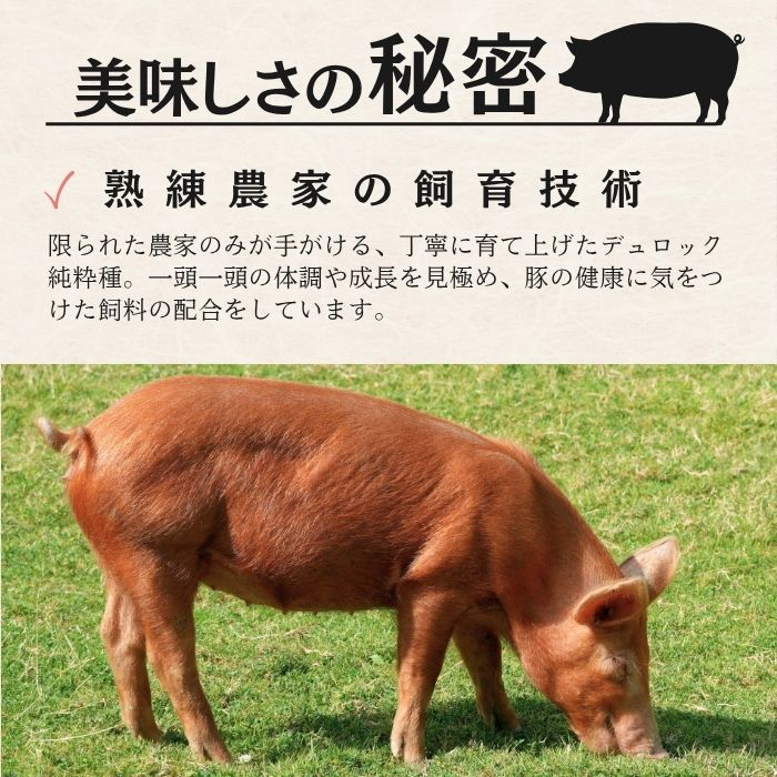 【幻の赤豚】/静岡県産 赤豚（デュロック種）焼肉用肩ロース500g×2P 計1kg