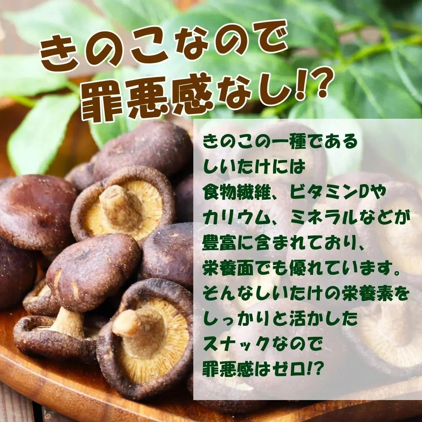 【190g】大地の生菓 まるごと しいたけスナック