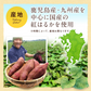 冷凍焼き芋（紅はるか） １kg×２袋（1袋あたり450円お得）