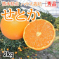 せとか みかん 送料無料 ハウス栽培 秀品 2kg 希少品種 熊本県産 蜜柑 清見 アンコール マーコット