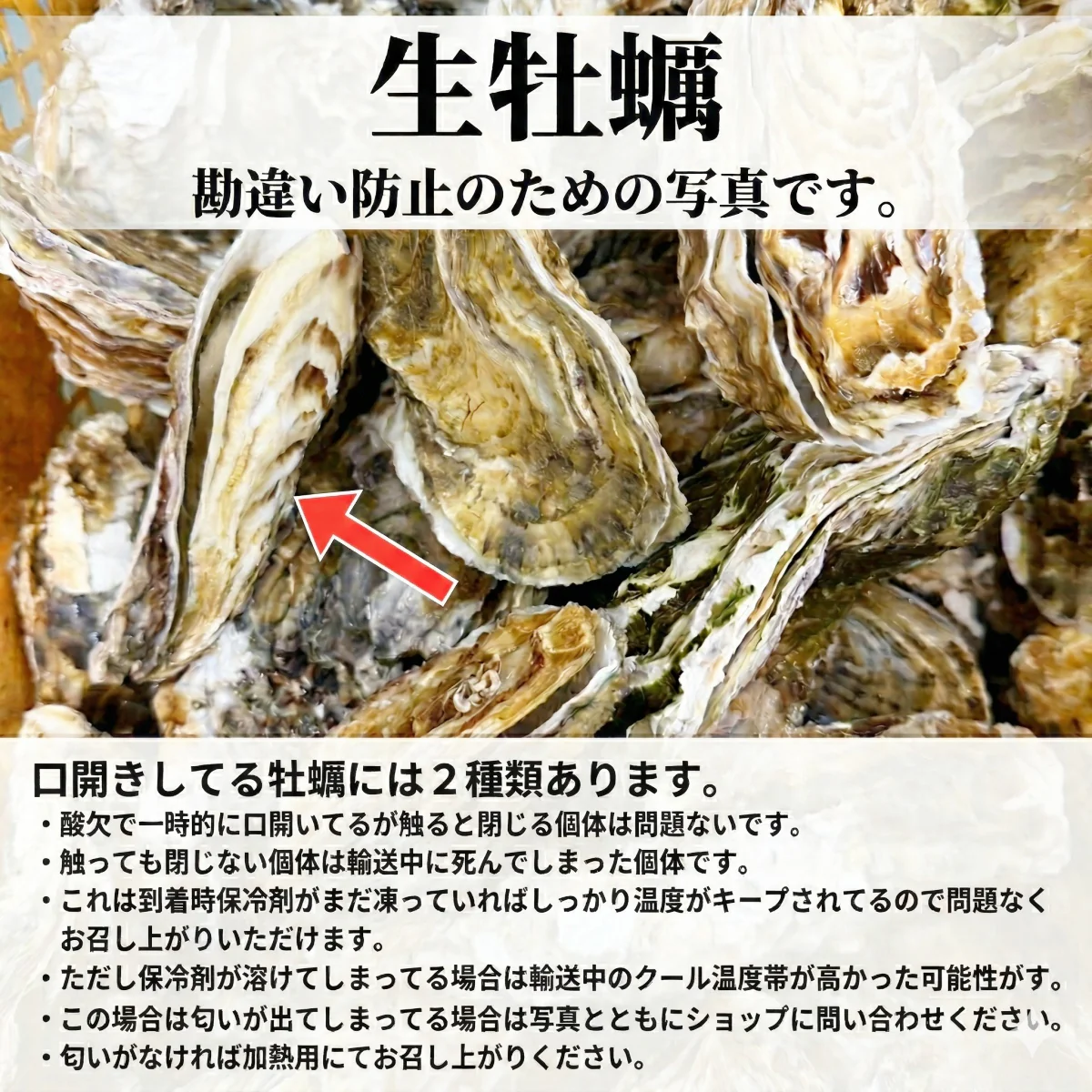 「生食用 殻付き 牡蠣 ４ｋｇ」生食用（28~70粒）生牡蠣 殻付き 牡蛎 牡蠣 殻付 宮城県産 松島牡蠣屋 カキ 海産物 魚介類 魚介 海鮮 母の日 父の日 送料無料 ＢＢＱ バーベキュー