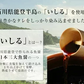 おつまみこんにゃく 〈7ヶ入×20袋〉 味付き