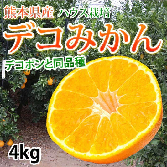 デコポン 同品種 デコみかん 訳あり 送料無料 4kg ハウス栽培 みかん 熊本県産 不知火 ミカン 蜜柑