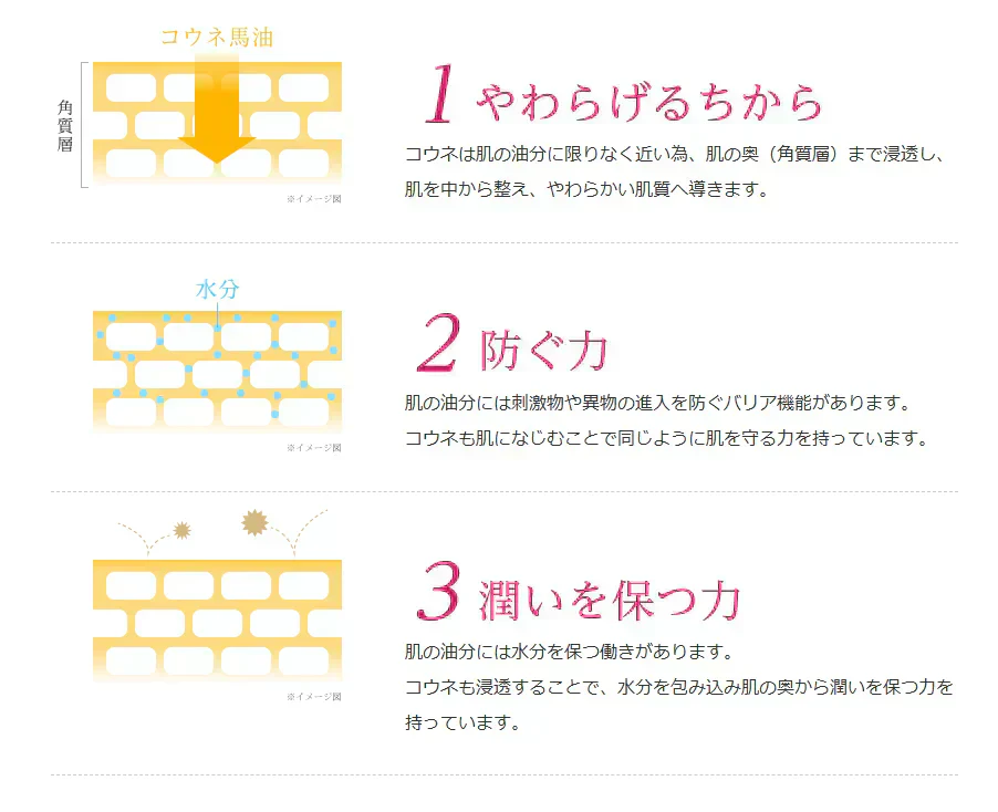 馬油(コウネ)化粧品 コウネ ピュアクリーム〈初回限定〉トライアルサンプルセットをプレゼント！乾燥　保湿　スキンケア　フェムケア　ハンドケア　国産　男女兼用