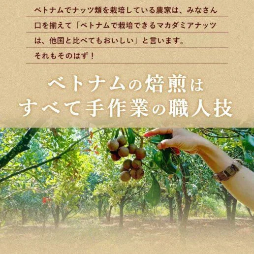 殻付きマカダミアナッツ 300g 送料無料【ご新規さん限定商品】