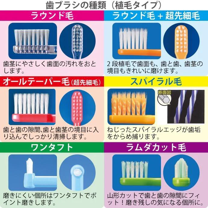 歯科専用の歯ブラシ アソート20本セット福袋 【おまけ付】≪歯ブラシは全て日本製のこだわり福袋≫※返品不可【福袋】【福袋の日】【メール便送料無料】