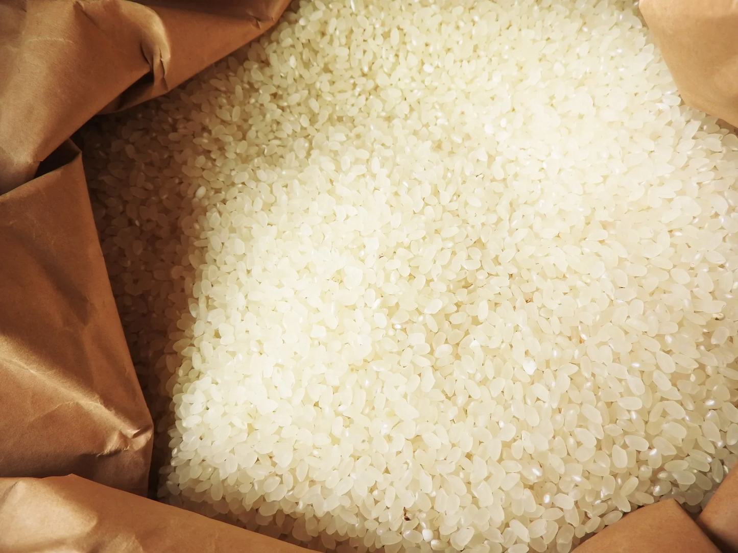 【1日5点限定販売!!】新米 北海道 富良野産 ゆめぴりか 5kg ちにたふぁーむで作ったお米