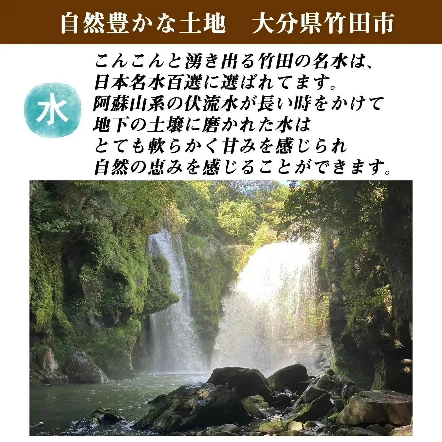【300g】36種類の古代米ブレンド いろいろ米 送料無料 国産 大分県産 栽培期間中 農薬不使用 無農薬 化学肥料不使用 自然農法 掛け干し米 共生栽培 オーガニック お米 玄米 うるち米 黒米 赤米 緑米 ミックス 混ぜるだけ