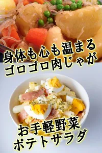 岩手県産 じゃがいも 10kg 無農薬栽培 きたあかり
