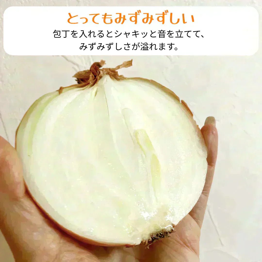 【有名飲食店 / ホテルも愛用】つやつやたまねぎ 10kg 野菜 根菜 玉葱 玉ねぎ タマネギ サラダ 市場 果物 料理 カレー 惣菜 ギフト
