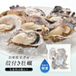 兵庫県室津産 ハーフシェルオイスター 殻付き牡蠣 生食用 10個入り［冷凍のみ］【送料無料】【3～4営業日以内に出荷】