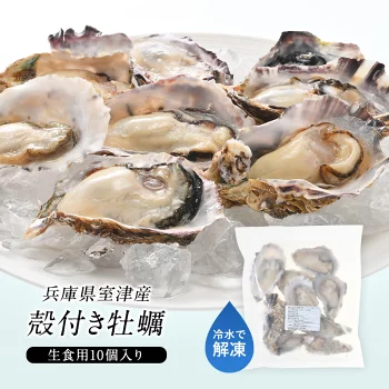 兵庫県室津産 ハーフシェルオイスター 殻付き牡蠣 生食用 10個入り［冷凍のみ］【送料無料】【3～4営業日以内に出荷】