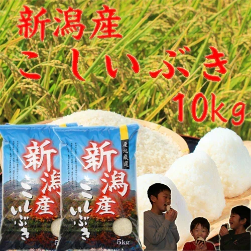 新米10kg 令和8年 送料無料 新潟産 こしいぶき 白米 10kg (5kg×2袋) 農家直送 お米 10キロ 白米10kg 安い米 新潟米