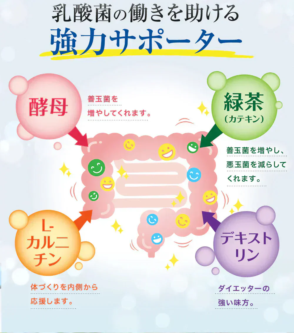 【お得2個セット・クレンズ革命】6ヶ月分 5兆個 善玉菌のチカラ  内側から スッキリ 腸活 ダイエットサプリ 腸内フローラ 納豆菌 乳酸菌 菌活 悪玉菌 ガセリ ビフィズス菌 カルニチン プロバイオティクス デトックス クレンズサプリメント ガセリ菌 悪玉菌 国産 お腹スッキリ 乳酸菌サプリ 酪酸菌　納豆菌 ナットウキナーゼ ビフィズス菌 おすすめ 人気 ランキング 効果 強力 最強 通販 日本製 国産