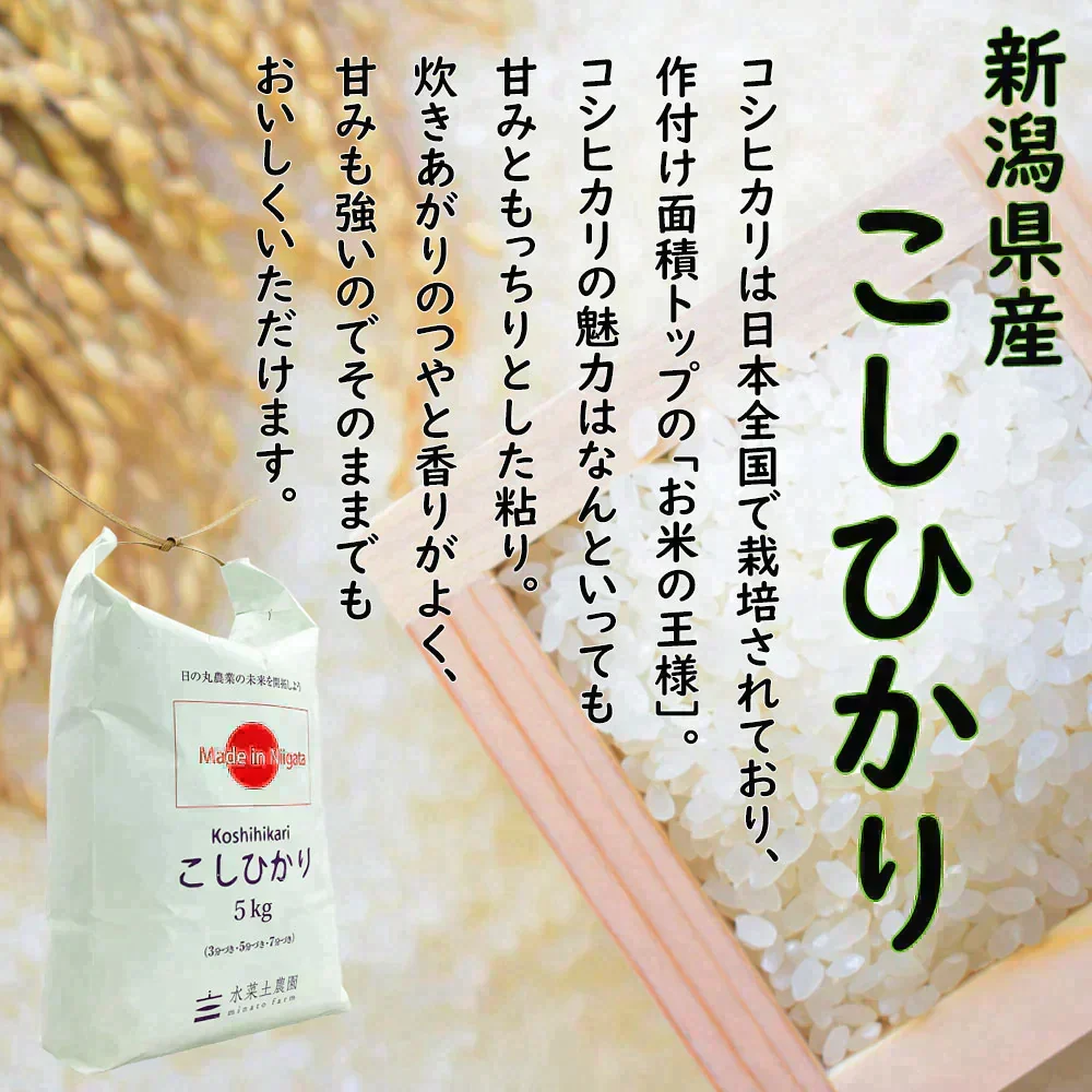 こしひかり 精米5kg 令和7年産 【古代米プレゼント付き】