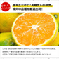小玉 みかん 訳あり 送料無料 1.5kg 小粒 ミカン 柑橘 熊本 極早生 3s-sサイズ 家庭用 7-14営業日以内に出荷予定(土日祝除く)【ご新規さん限定商品】