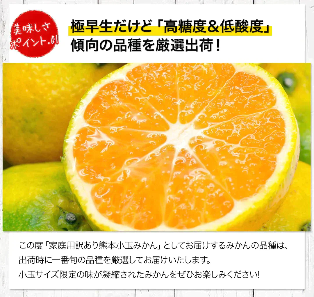 小玉 みかん 訳あり 送料無料 1.5kg 小粒 ミカン 柑橘 熊本 極早生 3s-sサイズ 家庭用 7-14営業日以内に出荷予定(土日祝除く)【ご新規さん限定商品】