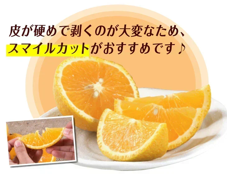 みかん 熊本産 スイートスプリング 10kg ご家庭用 (発送予定：2027年1月下旬より)