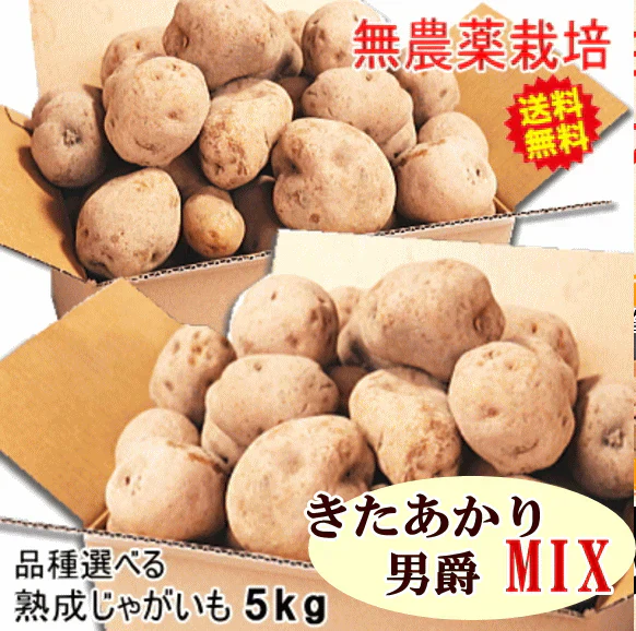 岩手県産　じゃがいも　5kg　無農薬栽培　品種MIX（きたあかり・男爵）