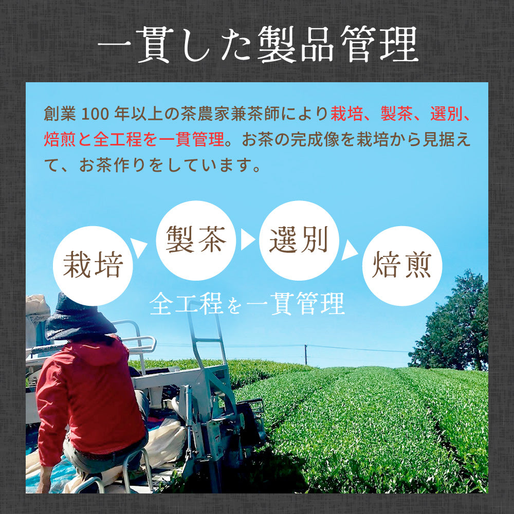 ノンカフェイン 和紅茶 4g×32個 和紅茶 ティーバッグ ノンカフェイン紅茶 国産 水出し紅茶 紅茶 紅茶ティーバッグ ティーパック お茶 静岡県産 パック ティーバック 水出し OK 冷茶 ホット