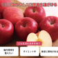 アップルファイバー 紅玉 100g 国産 青森県産 りんご 紅玉 粉末 食物繊維 コレステロール 紅茶 ヨーグルト お菓子【6301】