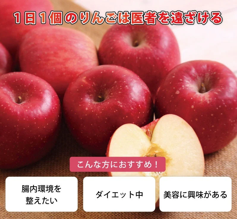 アップルファイバー 紅玉 100g 国産 青森県産 りんご 紅玉 粉末 食物繊維 コレステロール 紅茶 ヨーグルト お菓子【6301】