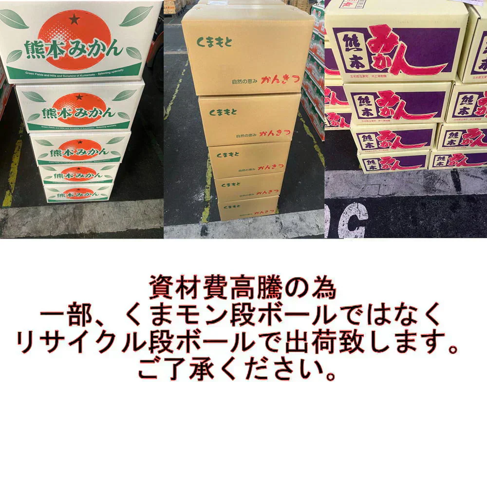 熊本産 みかん 訳あり 約10kg（箱込10kg 9kg+保証分500g）ご家庭用 送料無料 【9月中旬～10月下旬頃発送予定】