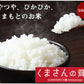 くまさんの輝き 無洗米 送料無料 計900g（300g×3袋） お試し 令和6年産 熊本県産 お米 白米 玄米 コシヒカリ ヒノヒカリ 森のくまさん