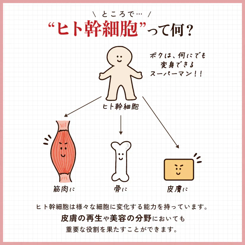 HUMANITY premium one オールインワンジェル 150g ヒト幹細胞培養液配合 4種類のプラセンタ 10種類のコラーゲン シミ シワ たるみ 大容量 美容液 スペシャルエイジングケア 人幹細胞美容液 ハリ 透明感 潤い うるおい 弾力 ヒト幹細胞美容液 ヒト幹細胞培養液配合のクリーム 10種のコラーゲン、4種のプラセンタ、プロテオグリカン